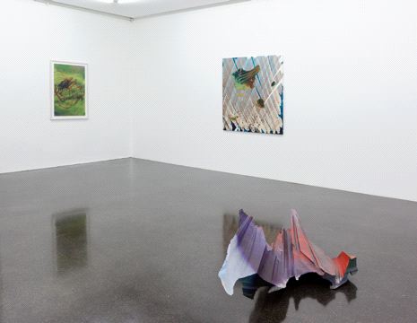 Katharina Grosse, Ausstellungsansicht Barbara Gross Galerie